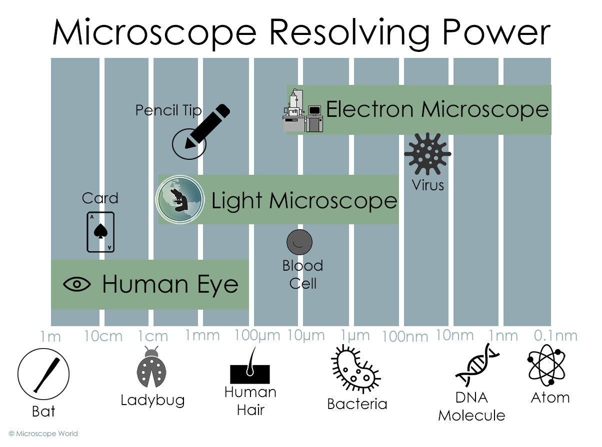 Microscope Resolving Power