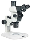 SM7 Common Main Objective Stereo Microscope