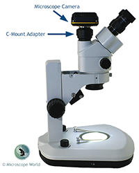 Microscope with Camera and C-Mount