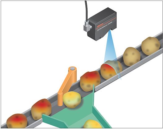 Food Inspection Microscope