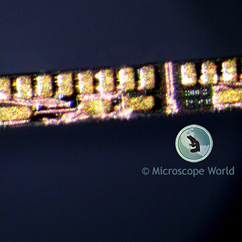 Microscope Resolution at 90x