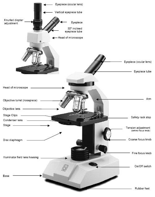 MICROSCOPE DIAGRAM Unmasa Dalha