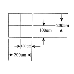 KR482 Grid Reticle 4 Squares 100um x 100um