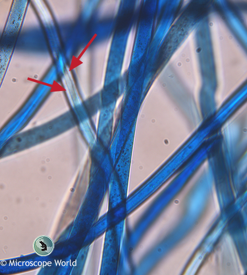 Fiber Analysis under the Microscope - Microscope World