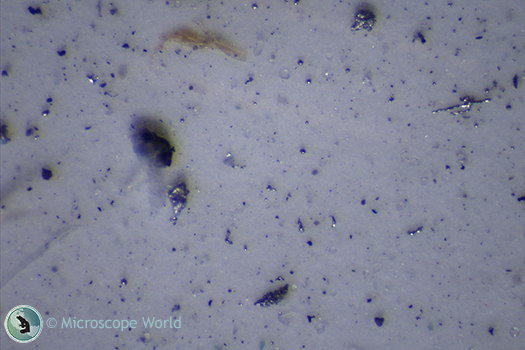 Filter patch inspection microscope image using only top illumination. Filter patch inspection microscope image using only top illumination.