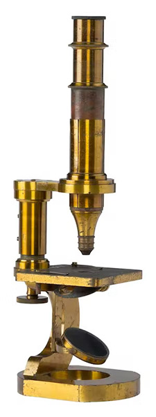 The History of the Microscope The History of the Microscope