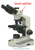 Troubleshooting Microscope Cameras and Digital Microscopes