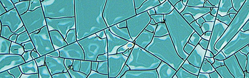 Viewing Polymers under the Microscope - Microscope World